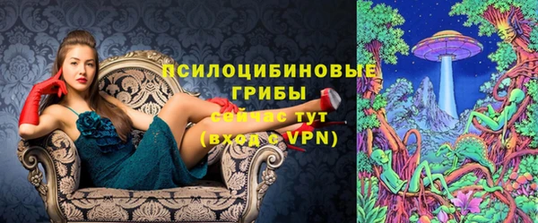 крисы Аркадак