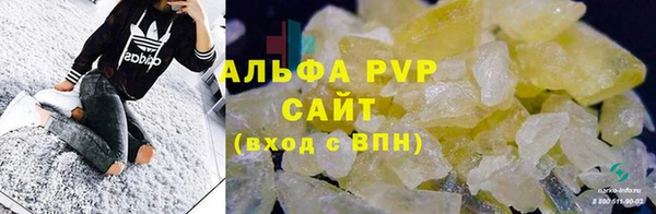 крисы Аркадак