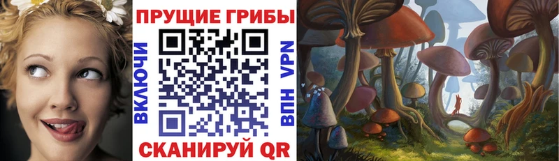 Галлюциногенные грибы мицелий  продажа наркотиков  Ржев 